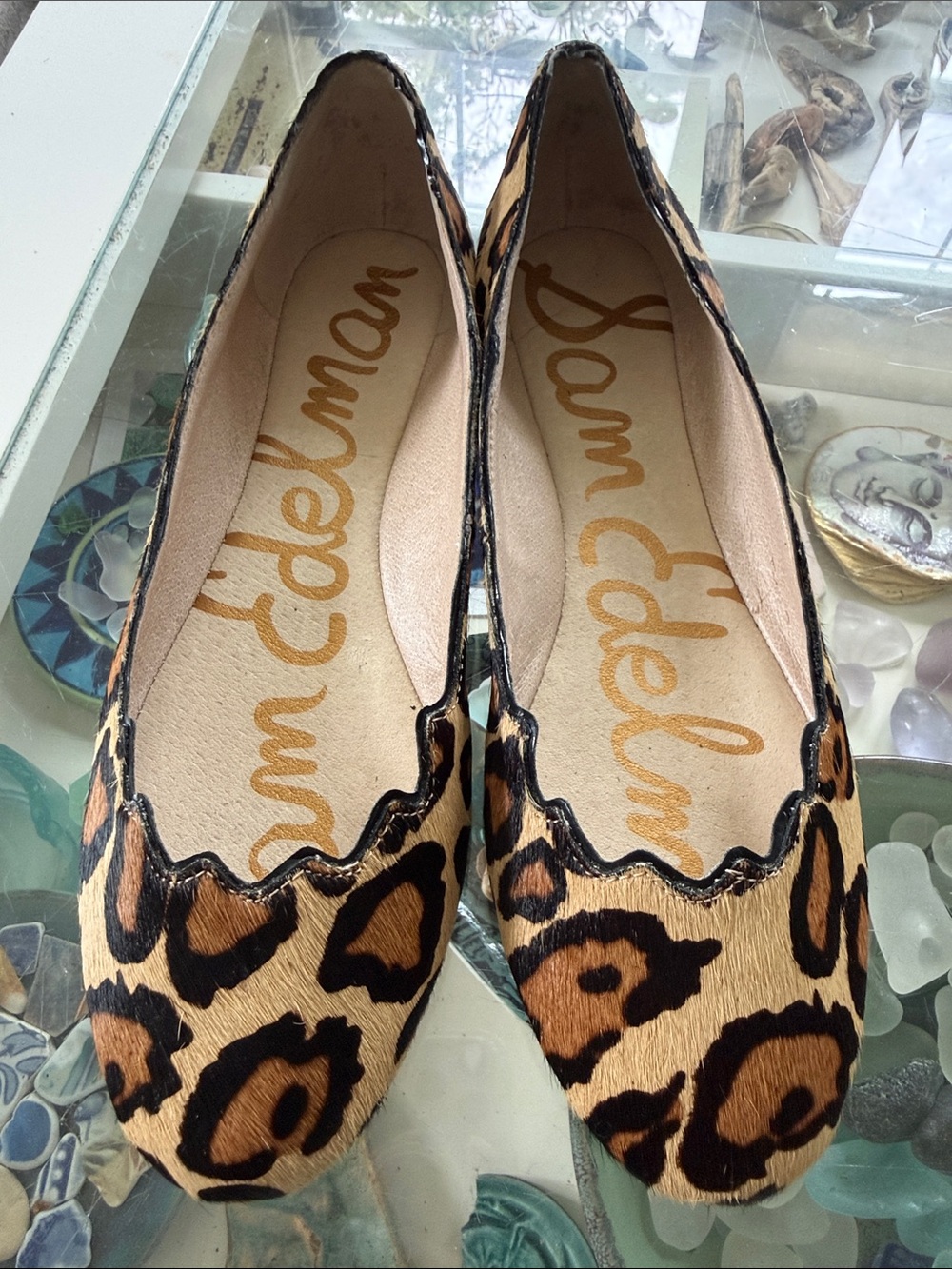 Sam Edelman Leopard Scalloped Ballet Flats in Tan and Black